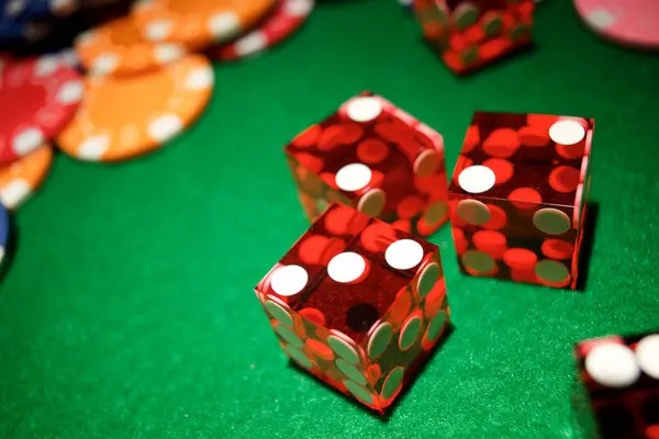 Betting slip interface showing multiple bet types and odds for Bikini Paradise